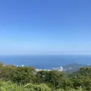 ラッコ