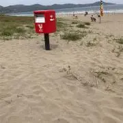 かわこの画像