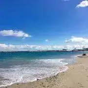 ほちゃ■プロフ一読願います