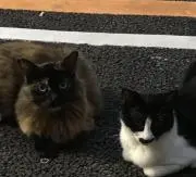 さなさんの画像