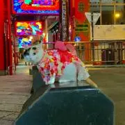 +†ともみ†+の画像
