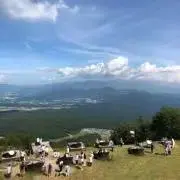 オレンジの画像