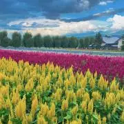 ちい☆プロフ必読✩の画像