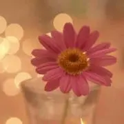 えな