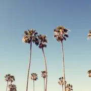 mの画像