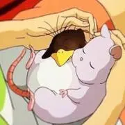 コッペの画像