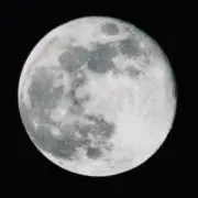 イノケンティウス　値下げ不可の画像