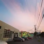 野原