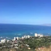 hideの画像