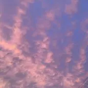 mhの画像