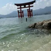 Maruの画像