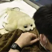 読点の画像