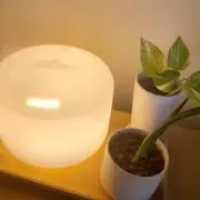 mujimiの画像