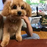 らら0840( ´ ▽ ` )プロフ必読