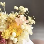 p.の画像