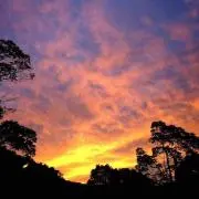 ヨモギ ケンユウ