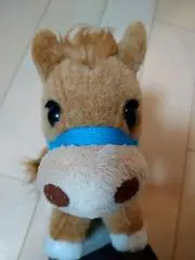 まるの画像