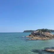 Sakuraの画像