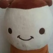 こうまくんの画像