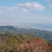 よねこの画像