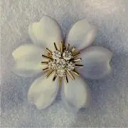 フリマの画像