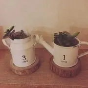 Hacoの画像