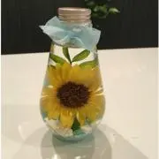 向日葵