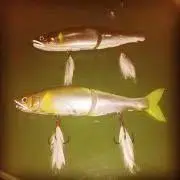 釣りキチ^_^h_s_mの画像