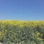 hn☺︎の画像