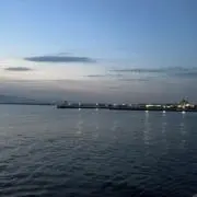 さくの画像