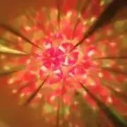 ☆☆☆の画像