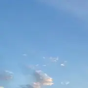 ももの画像