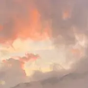 クミミソの画像
