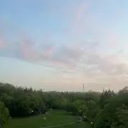 こつぶの画像