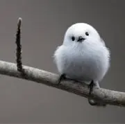 みち子
