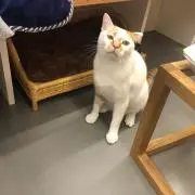 canの画像