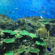 blueの画像
