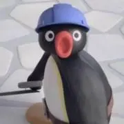 누누の画像