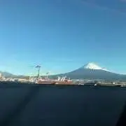 Hamuの画像