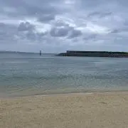 桃香の画像