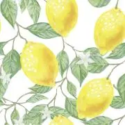 レモンの画像