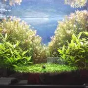 Hideの画像