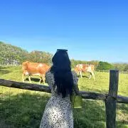 jjoの画像