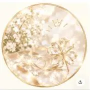 csa.24の画像