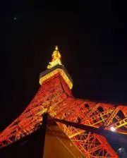 ラムの画像