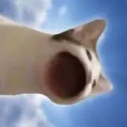 れれれ