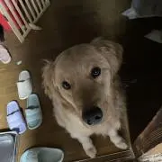 リオ