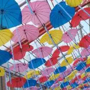 CHA-CHAの画像