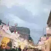つみれの画像