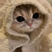 pasそ